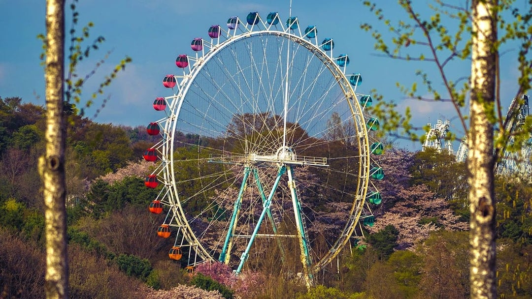 Everland Tickets with Round-Trip Transfers