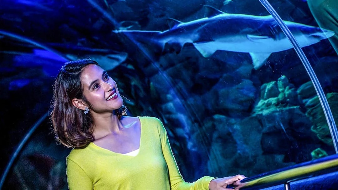 Visitor observing a shark in the tunnel at Aquaria KLCC, Kuala Lumpur.