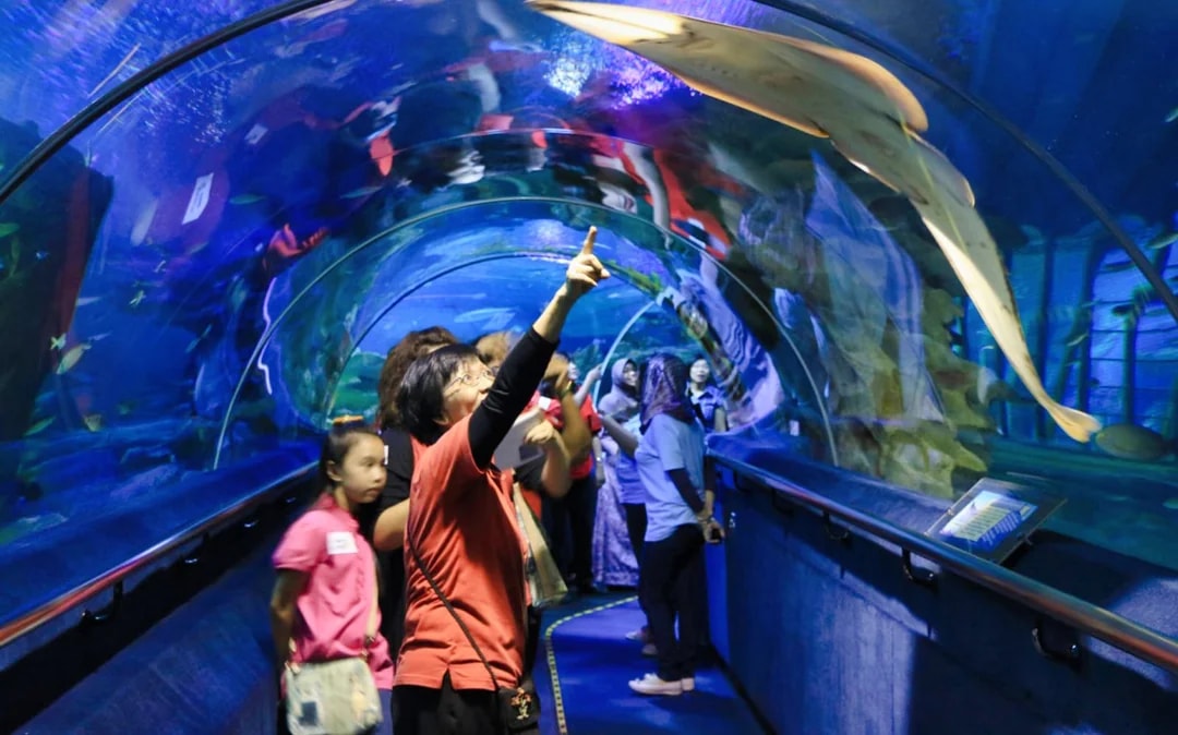 Aquaria KLCC Tickets Image 6