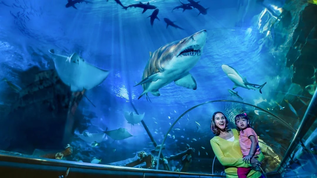 Mother and daughter observing sharks in Aquaria KLCC tunnel.