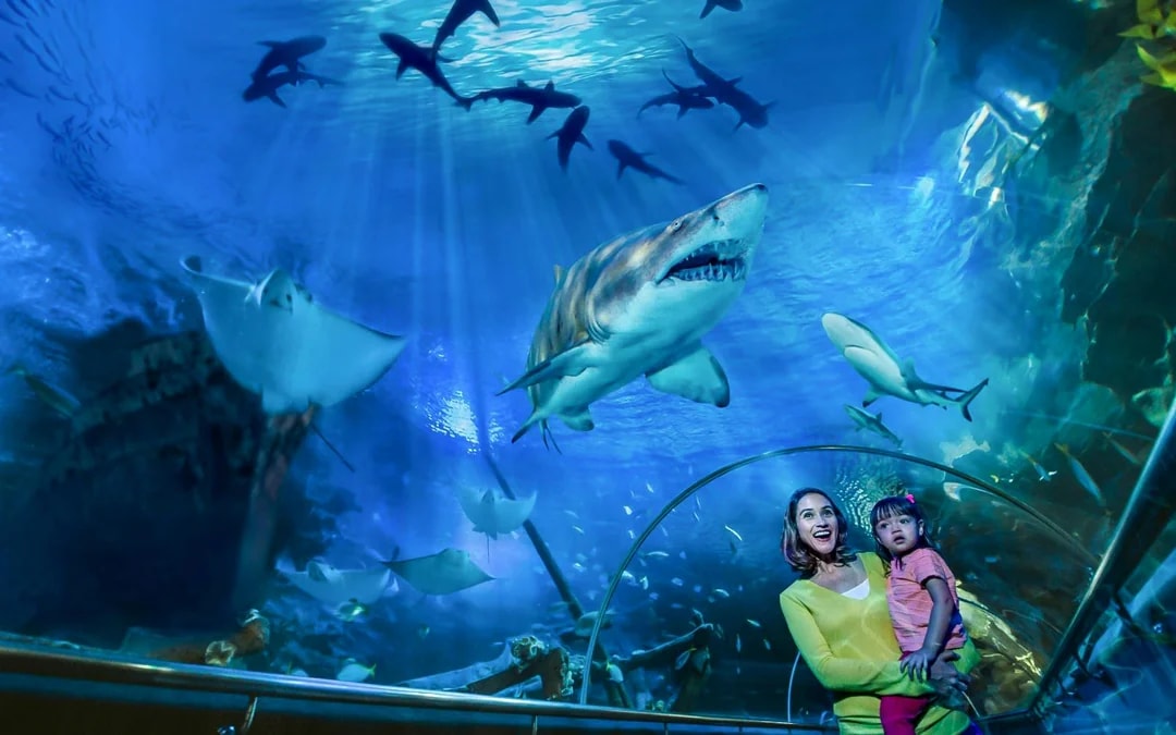 Aquaria KLCC Tickets Image 9