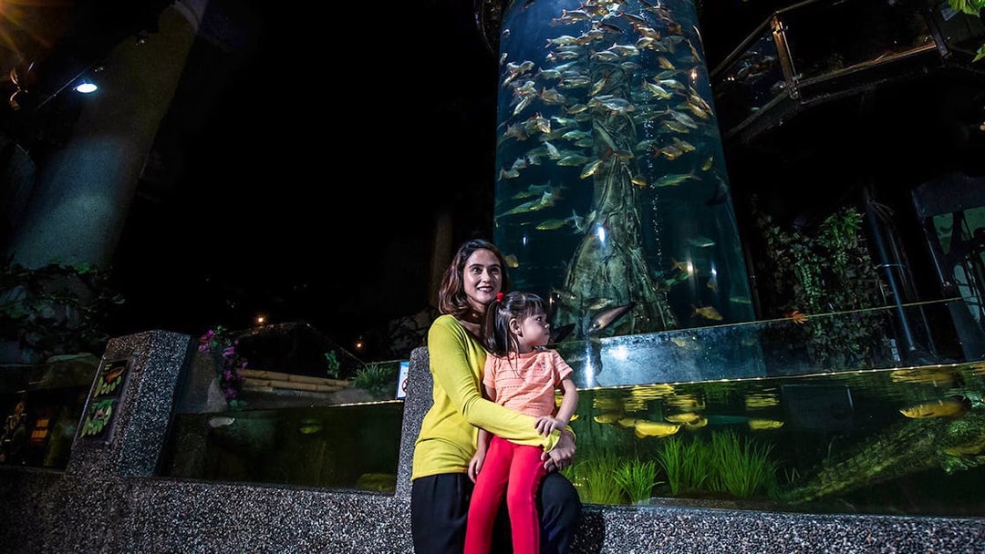 Visitors at Aquaria KLCC viewing a large fish tank with diverse marine life.