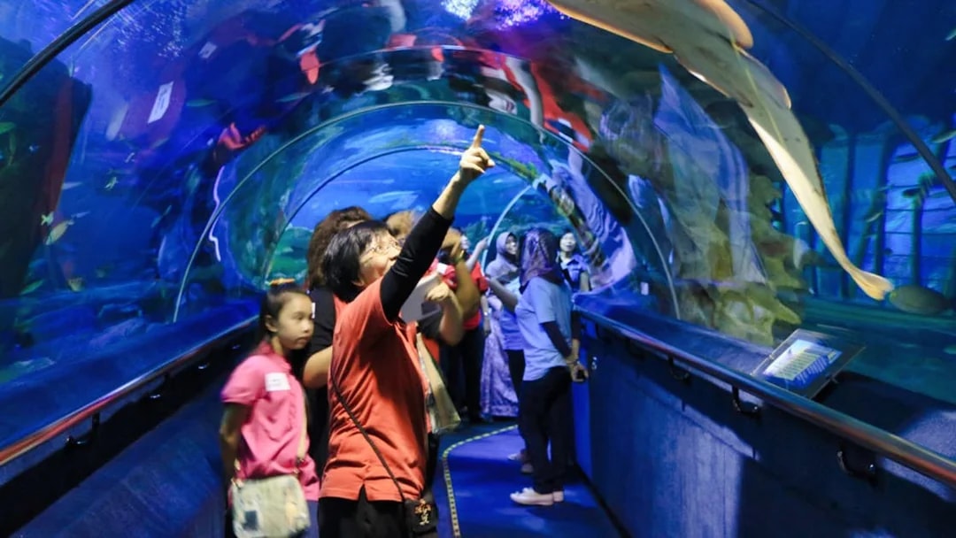 Visitors exploring underwater tunnel at Aquaria KLCC, observing marine life.
