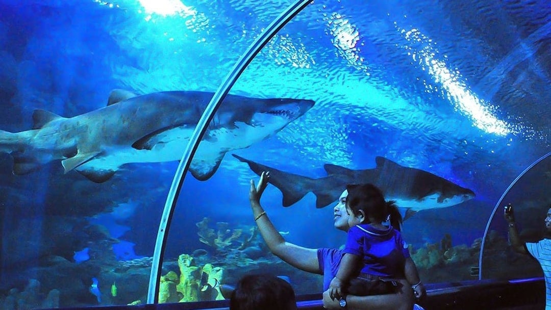 Aquaria KLCC Tickets