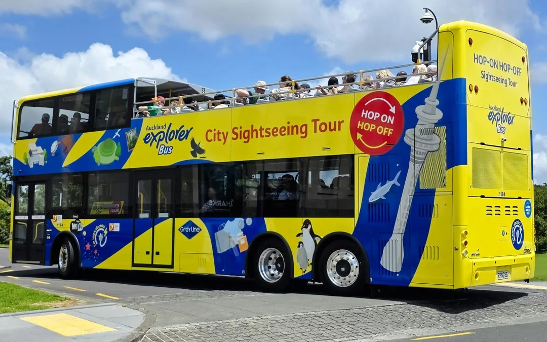 Explorer Bus: Auckland Hop-On Hop-Off Bus Tour Image 8