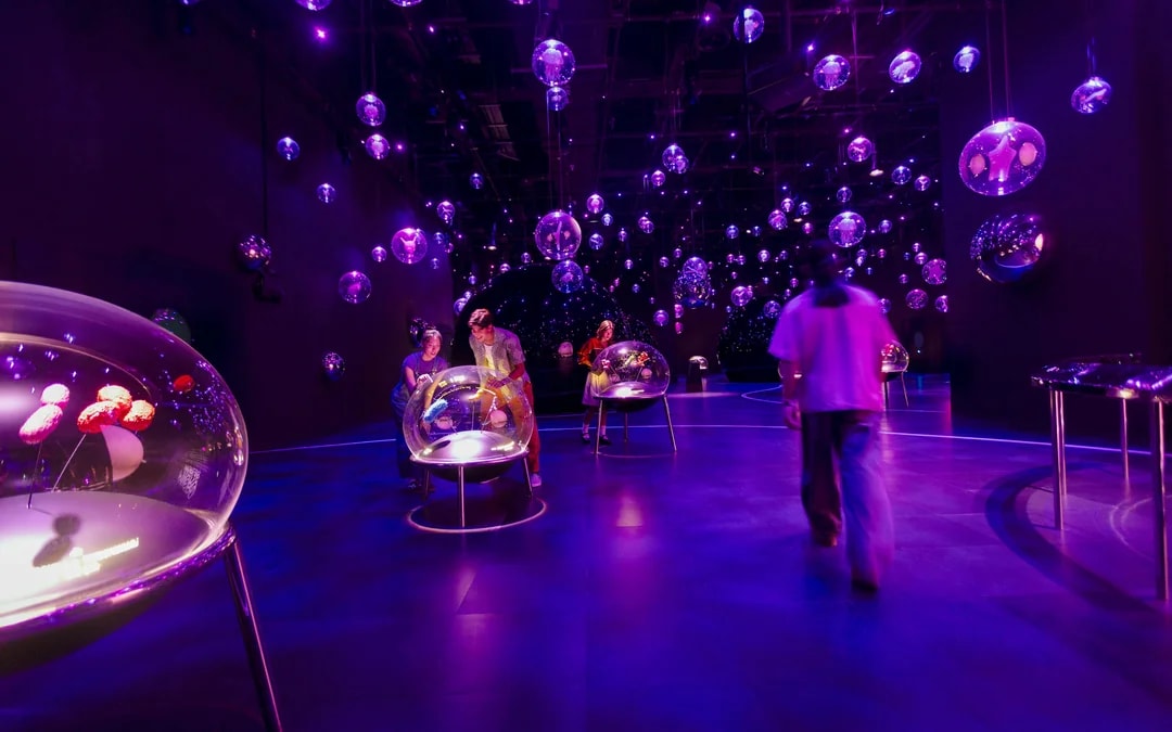 Exploria Tickets | Mandai Wildlife Reserve Image 8