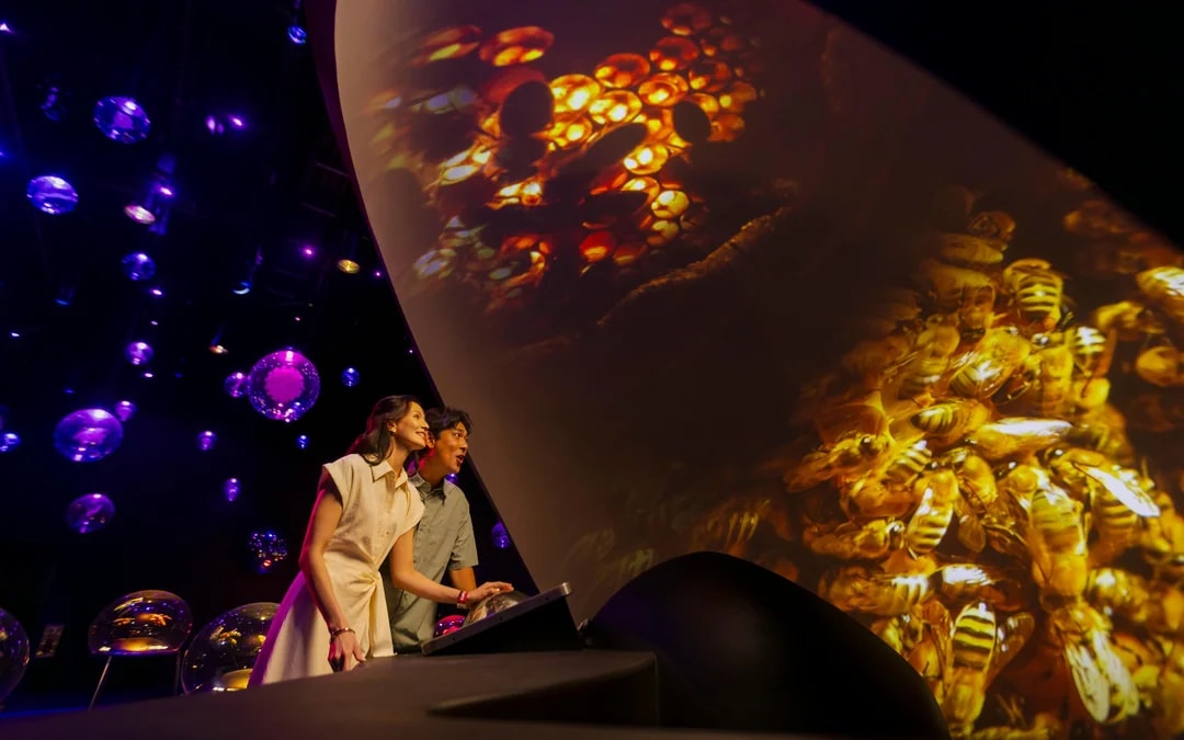 Exploria Tickets | Mandai Wildlife Reserve Image 9