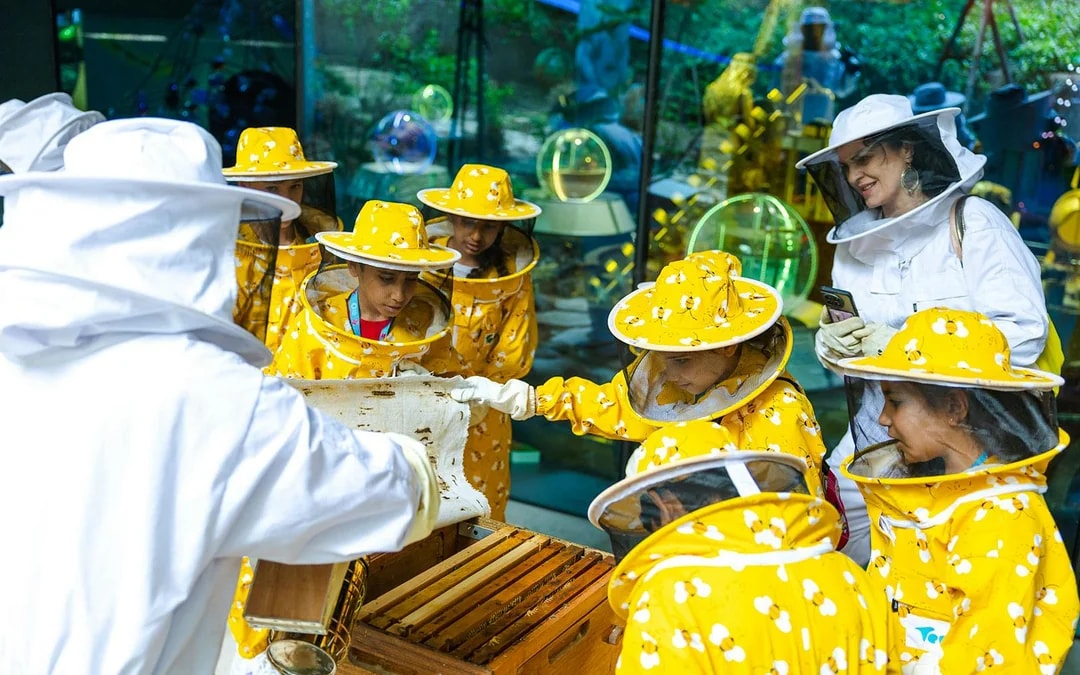 Expo City: Beeking Experience at Terra Tickets Image 11