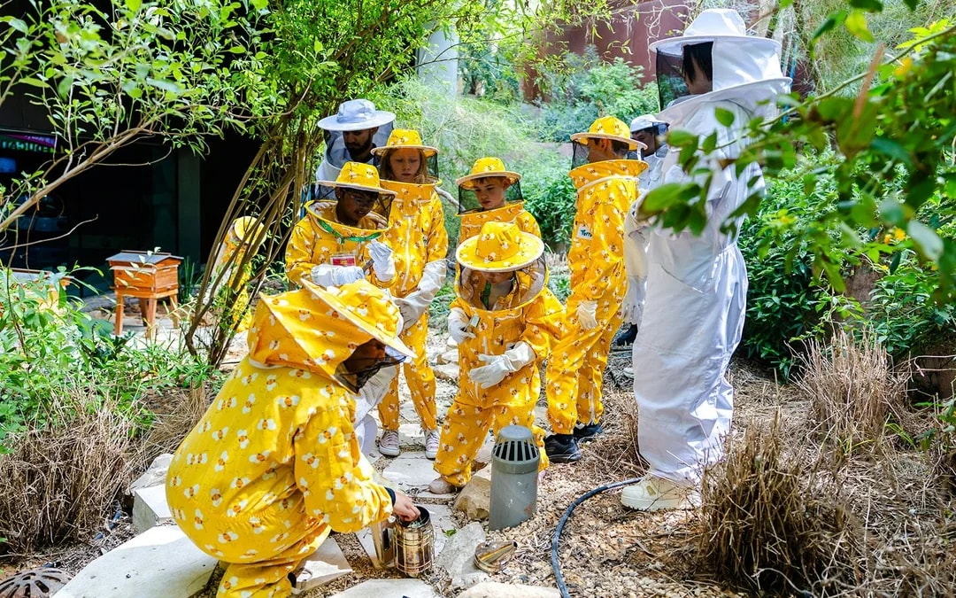Expo City: Beeking Experience at Terra Tickets Image 6