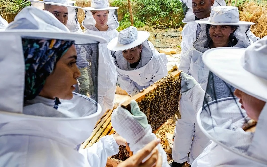Expo City: Beeking Experience at Terra Tickets Image 7