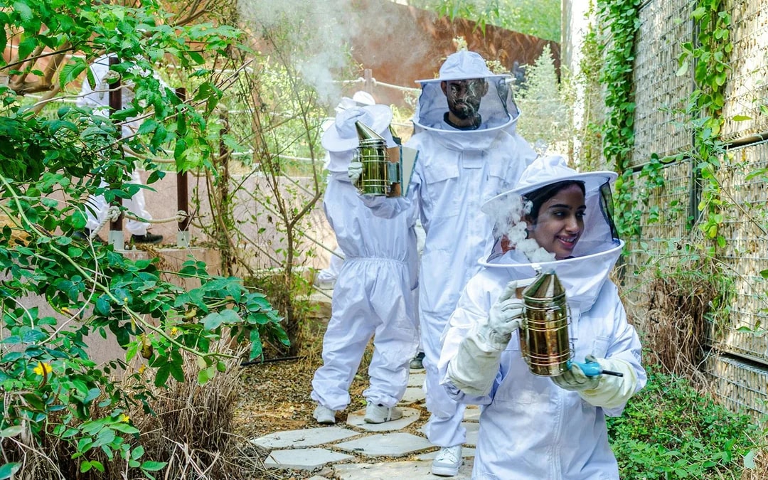 Expo City: Beeking Experience at Terra Tickets Image 9