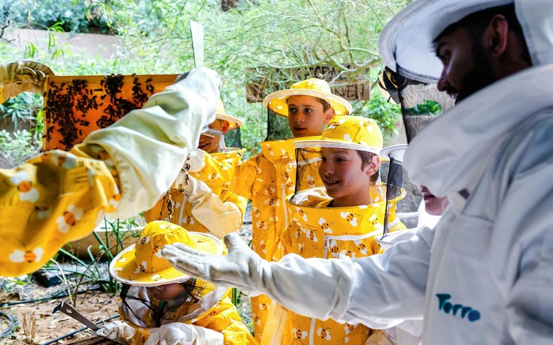 Expo City: Beeking Experience at Terra Tickets Image 10