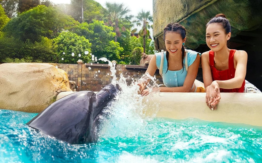 [Family Super Saver] Adventure Cove Waterpark Tickets Image 9