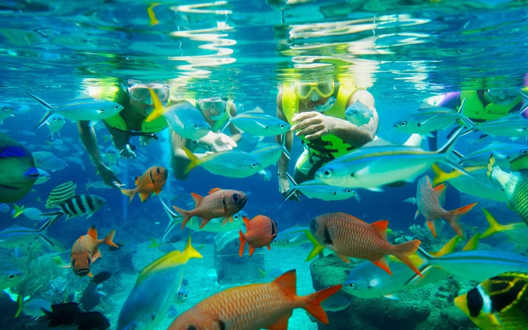 [Family Super Saver] Adventure Cove Waterpark Tickets Image 1