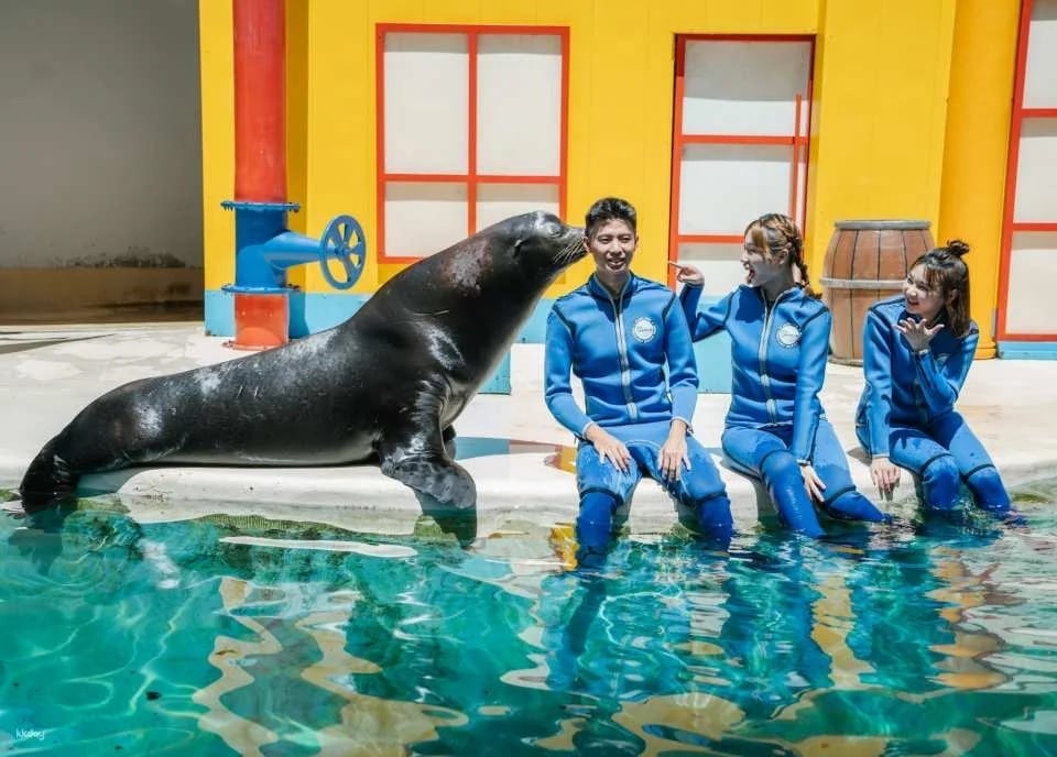 Farglory Ocean Park - Marine Correspondent Sea Lion Exploration Activity