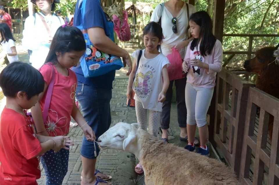 Farm In The City Day Pass Ticket | Selangor