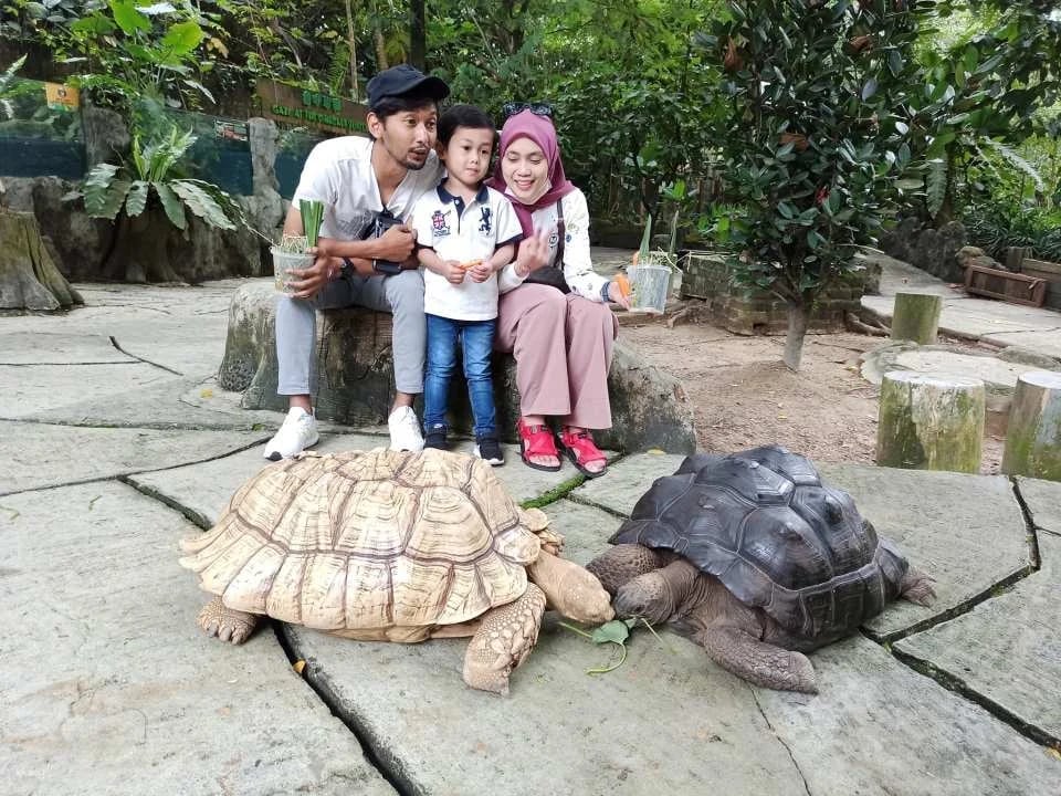 Farm In The City Day Pass Ticket | Selangor