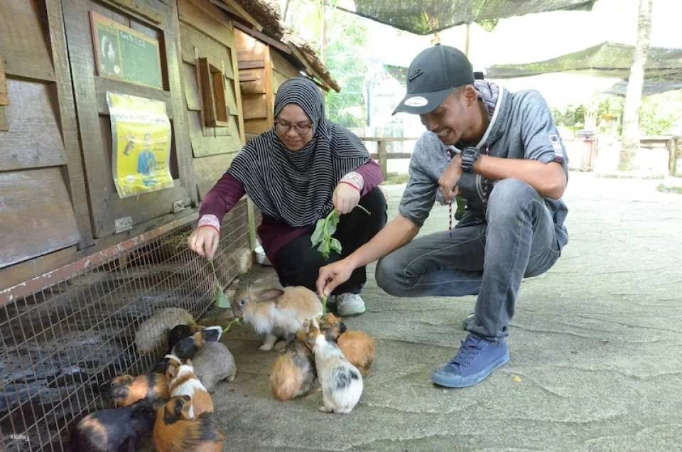 Farm In The City Day Pass Ticket | Selangor