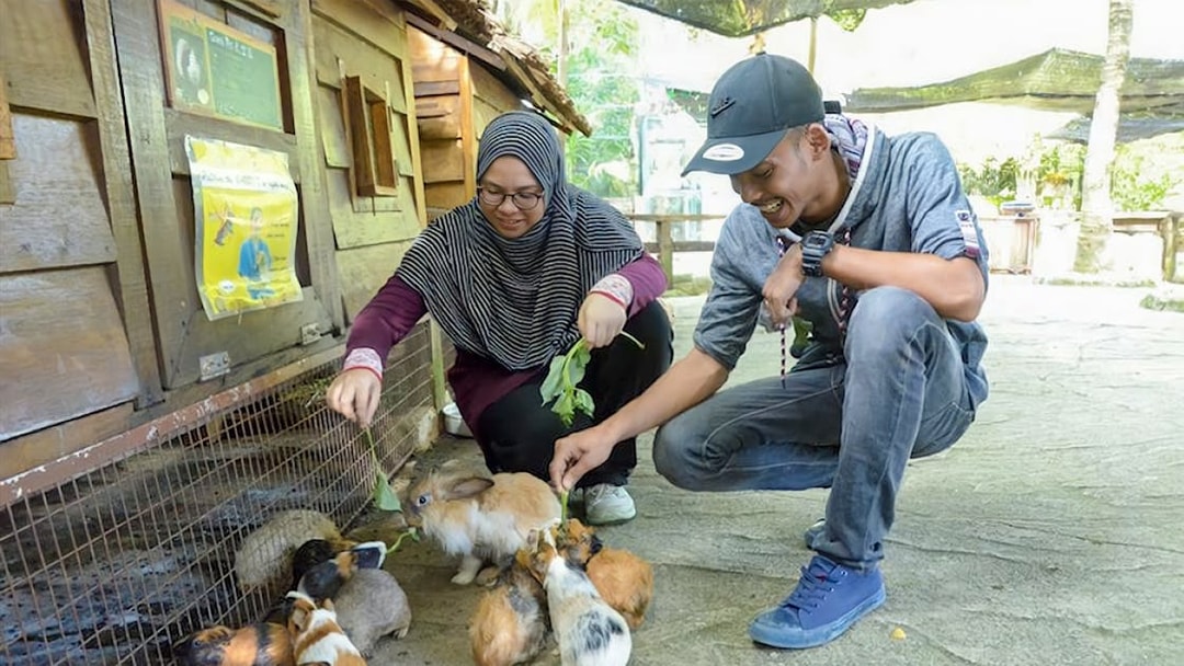 Visitors feeding rabbits at Farm In The City, Malaysia.