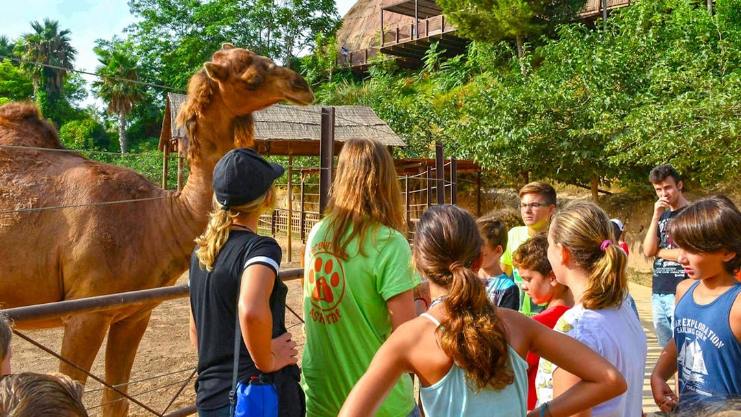 Visitors observing a camel at Terra Natura Benidorm.