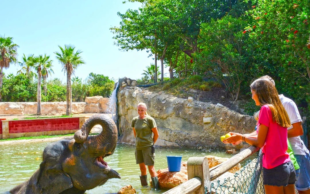 Fast Track Access to Terra Natura Benidorm Image 7