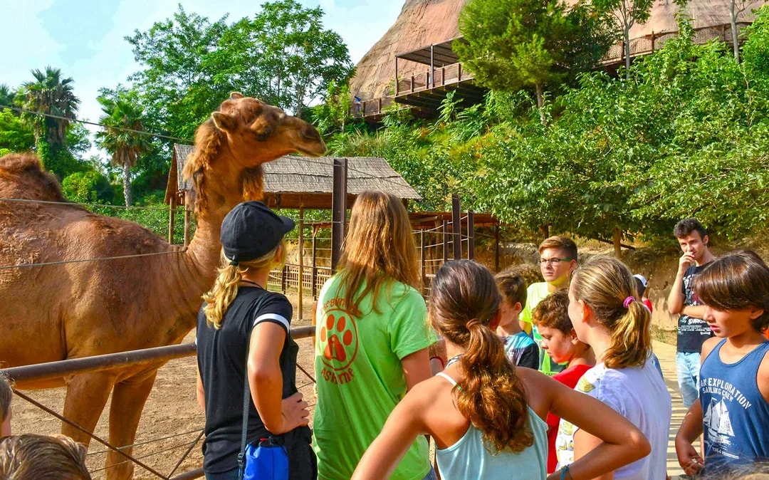 Fast Track Access to Terra Natura Benidorm Image 8