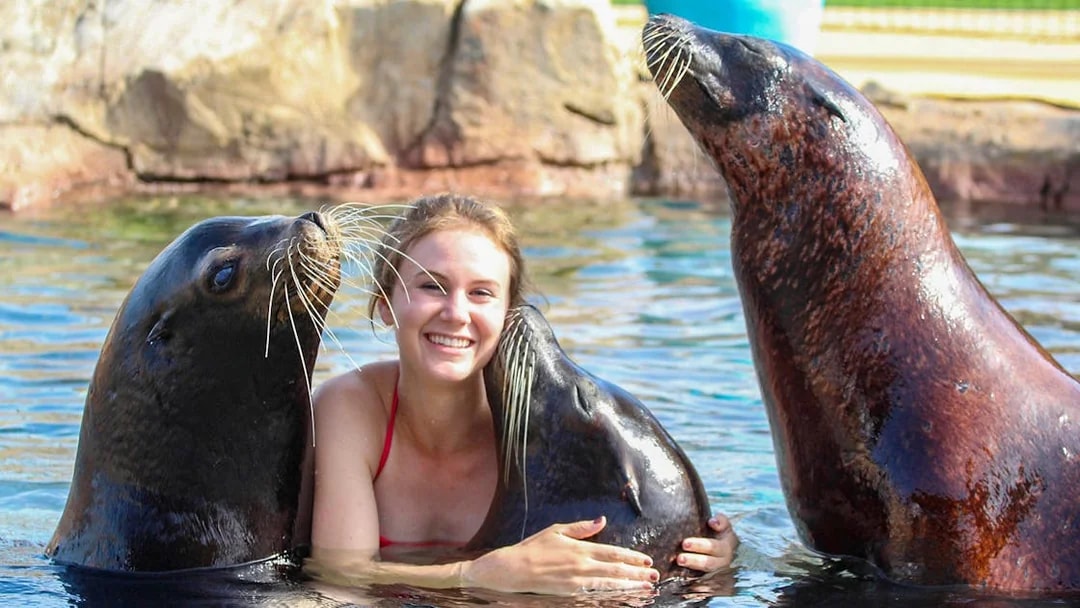 Person interacting with sea lions at Terra Natura Benidorm.