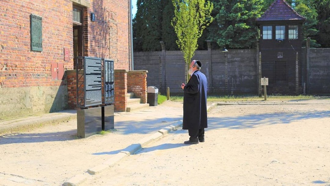Fast-Track Entry Pass & Tour: Auschwitz-Birkenau Museum