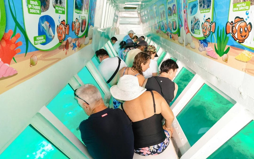 Finding Nemo Half-Day Cruise Trip with Water Adventure, Drinks & Hotel Transfers Image 6