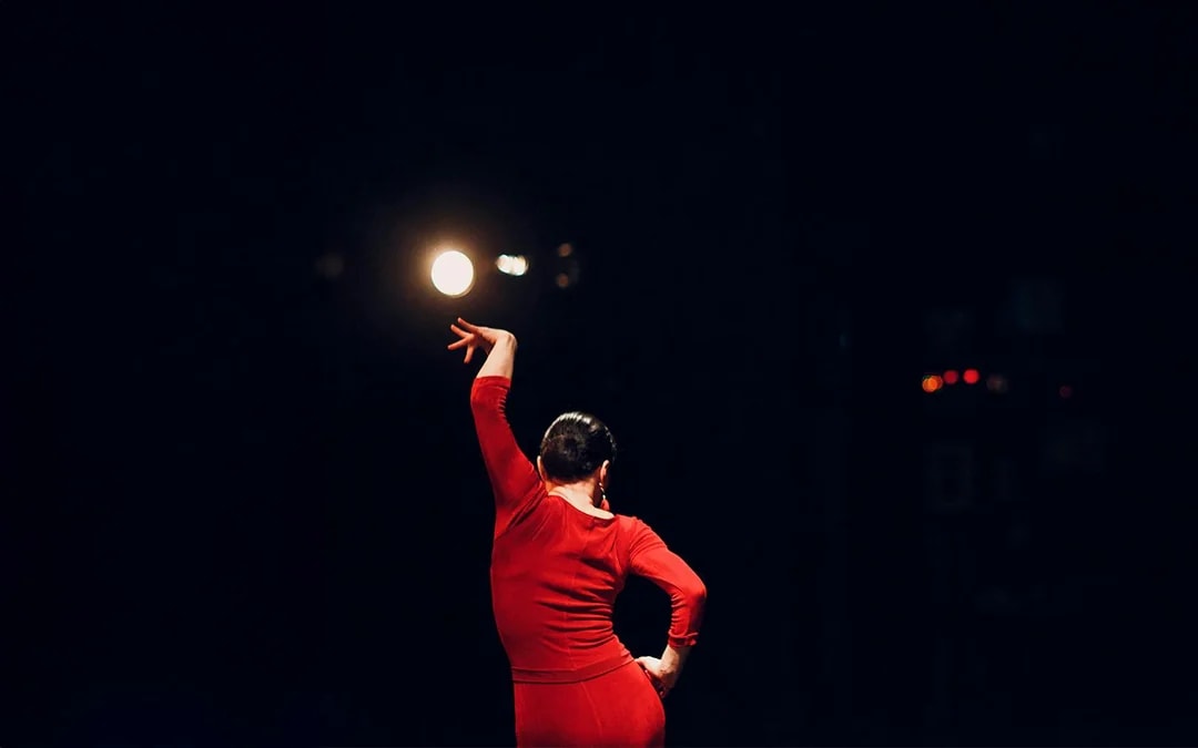 Flamenco Dance Museum - Flamenco Show Image 6