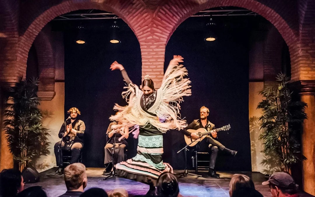 Flamenco Dance Museum - Flamenco Show Image 2