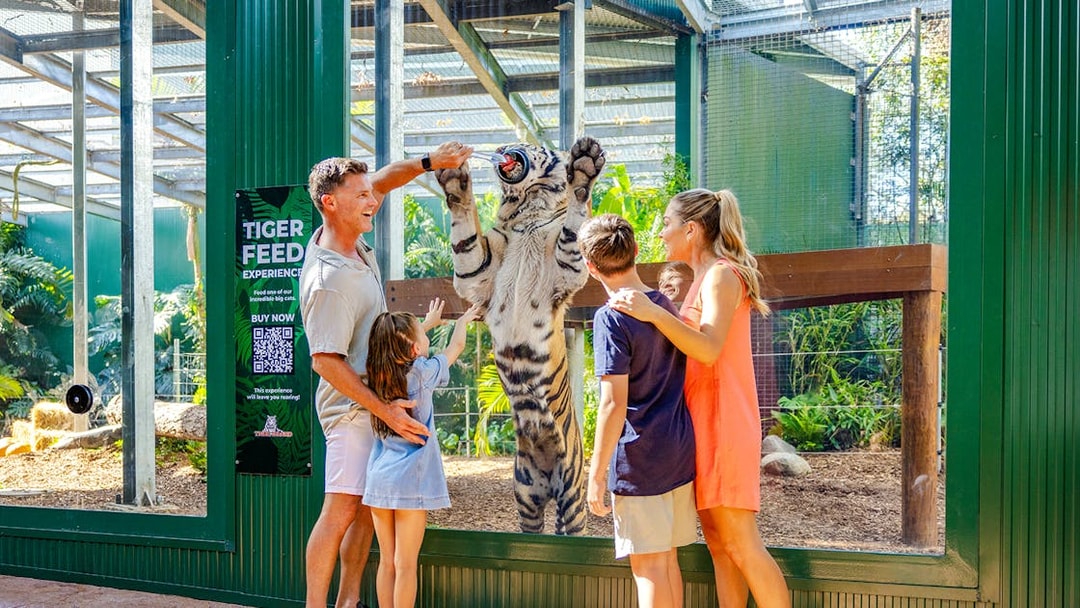 Family feeding a tiger at Tiger Island, Dreamworld, Gold Coast.