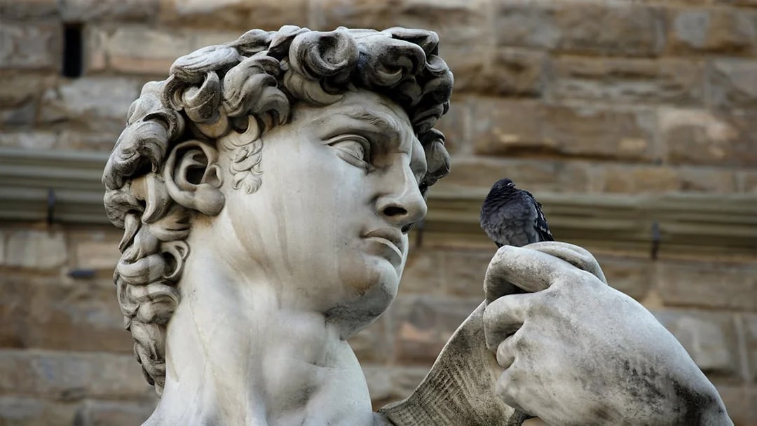 David statue detail with pigeon, Florence guided tour, Duomo and Accademia Gallery tickets.