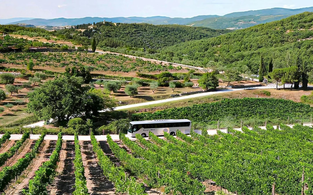 From Florence: Pisa, Siena, San Gimignano & Chianti Day Trip with Wine Tasting & Lunch Image 7