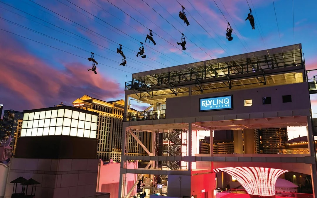 Fly LINQ Zipline Tickets Image 8