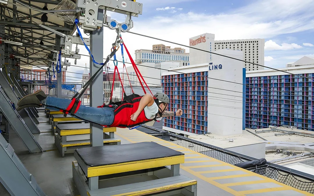 Fly LINQ Zipline Tickets Image 9