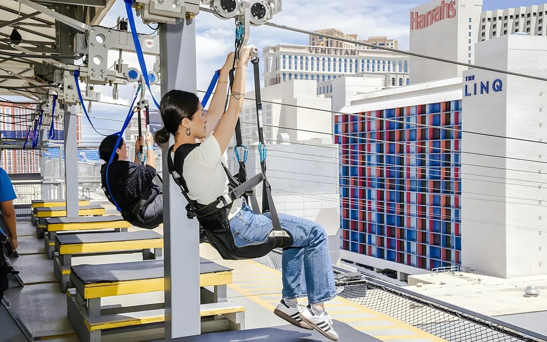 Fly LINQ Zipline Tickets Image 2