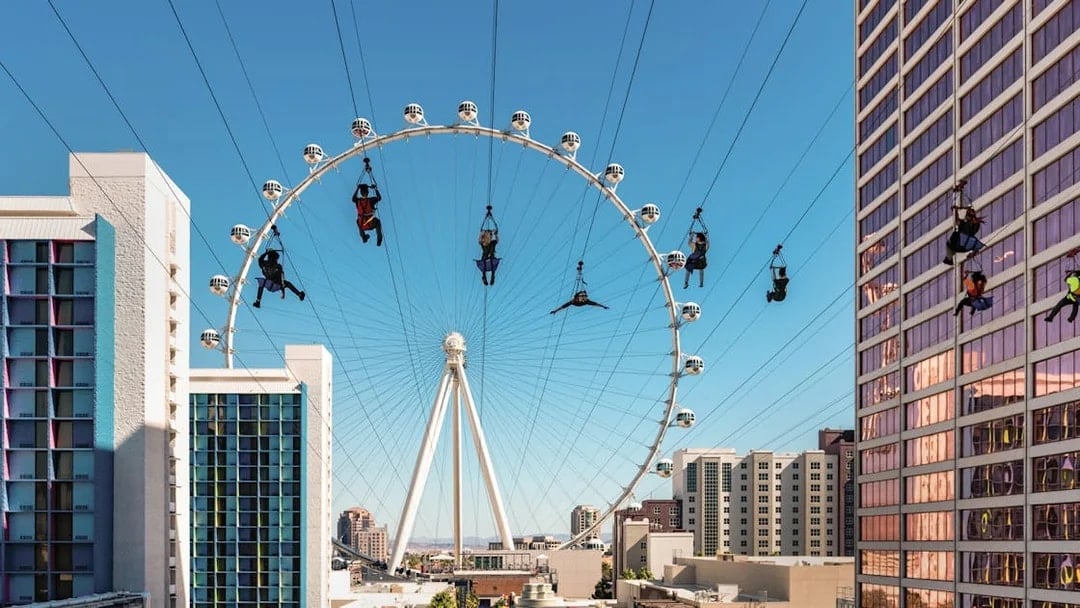 Fly LINQ Zipline Tickets