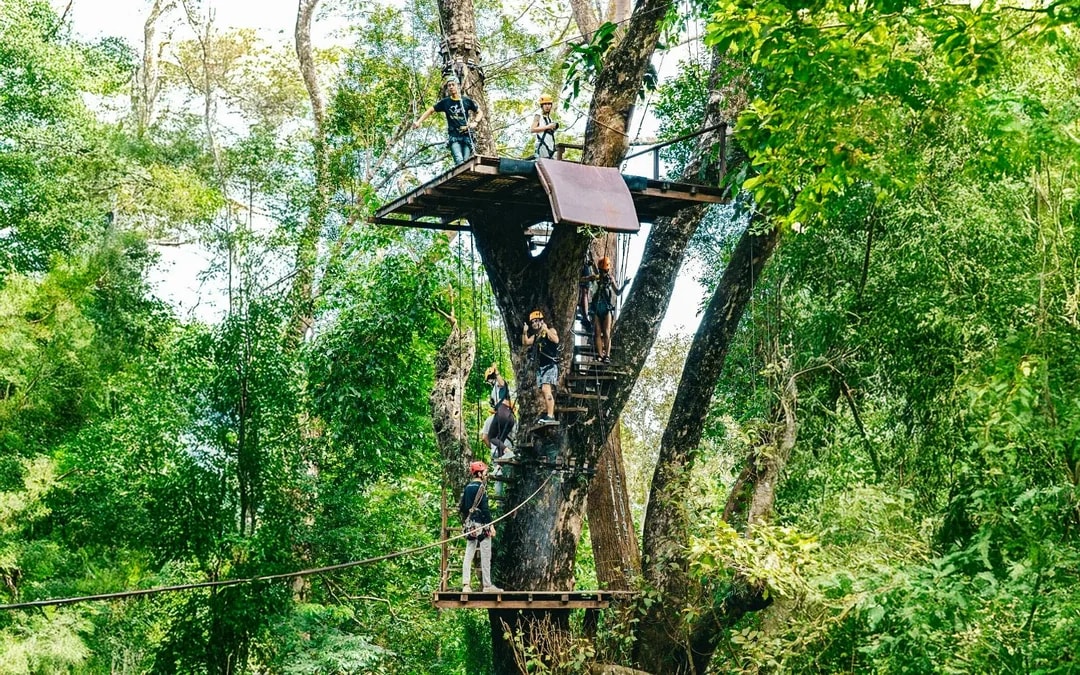 Flying Hanuman: 28 Platform Zipline and Elephant Sanctuary Visit 
 Image 8