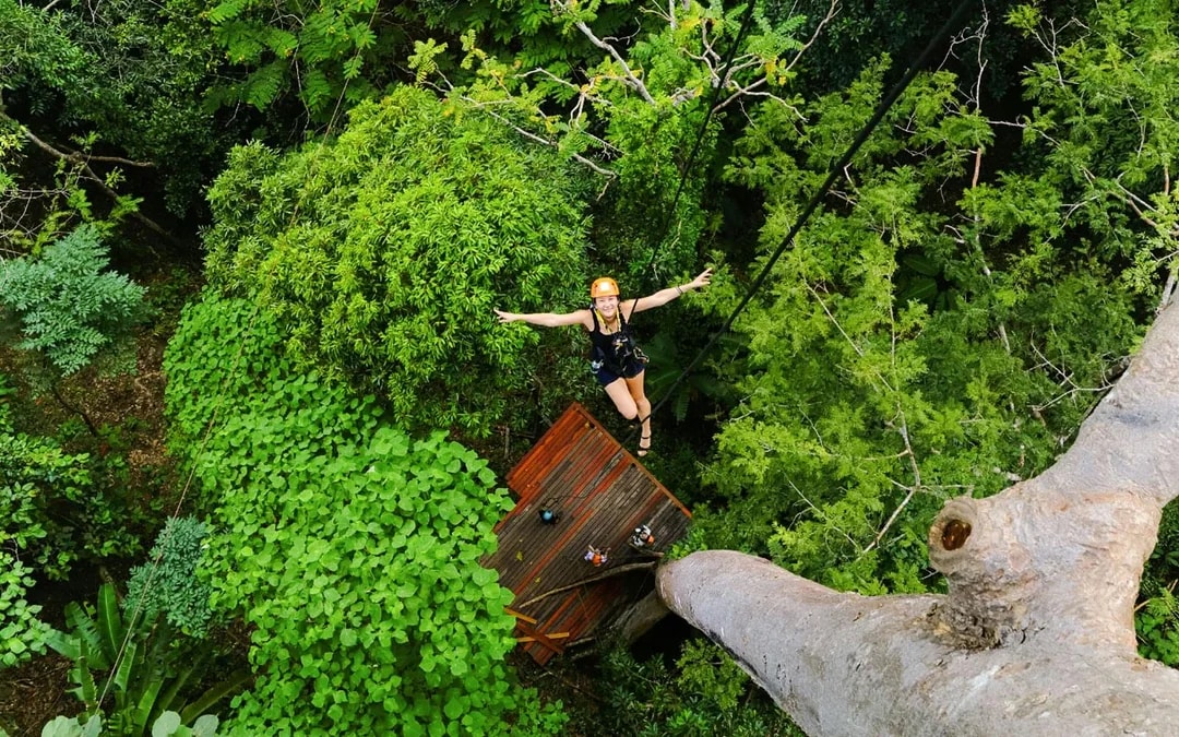 Flying Hanuman: 28 Platforms Zipline Adventure with Optional Round-Trip Transfers
 Image 7