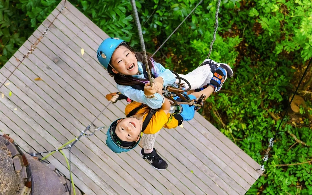Flying Hanuman: 28 Platforms Zipline Adventure with Optional Round-Trip Transfers
 Image 1