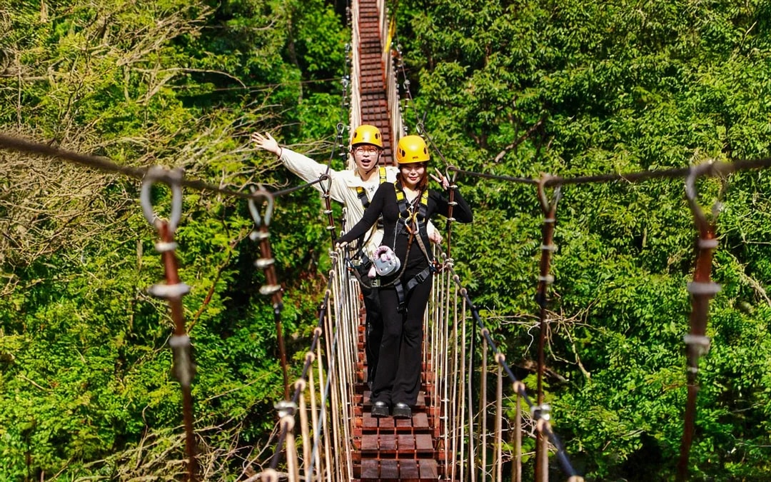 Flying Hanuman: 28 Platforms Zipline Adventure with Optional Round-Trip Transfers
 Image 2