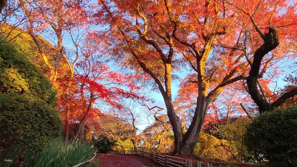 Tickets for Keio Mogusaen Garden, Tokyo