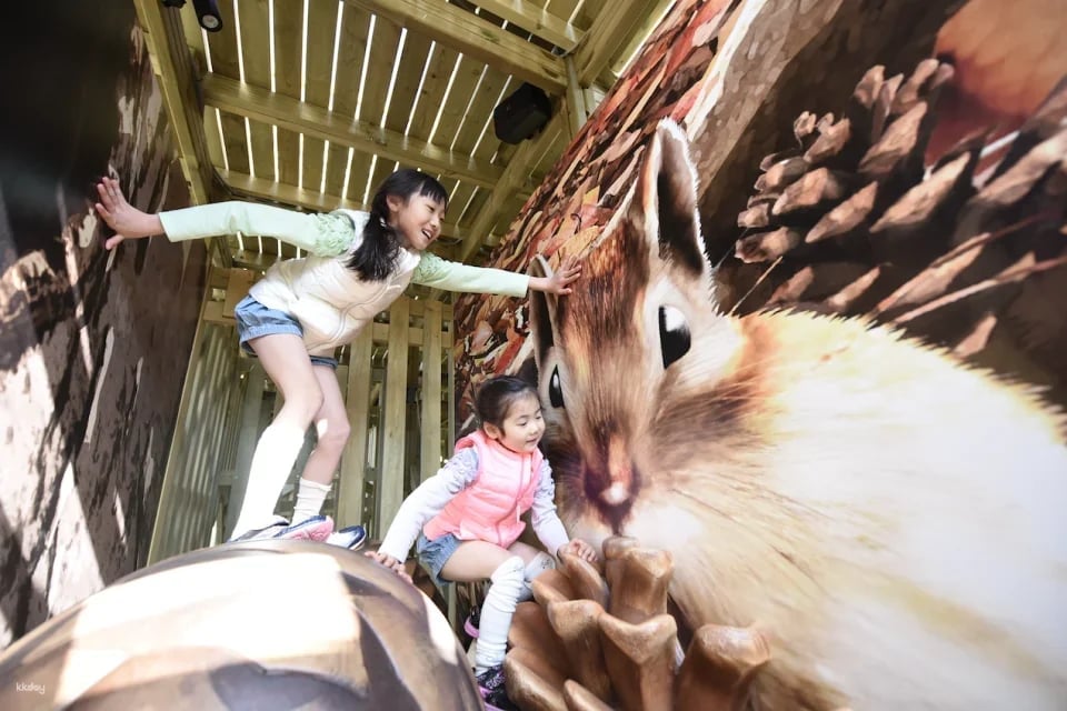 [For non-Japanese nationals] Mobility Resort Motegi Ticket Reservation *Includes admission to Honda Collection Hall (Tochigi Prefecture, Theme Park)