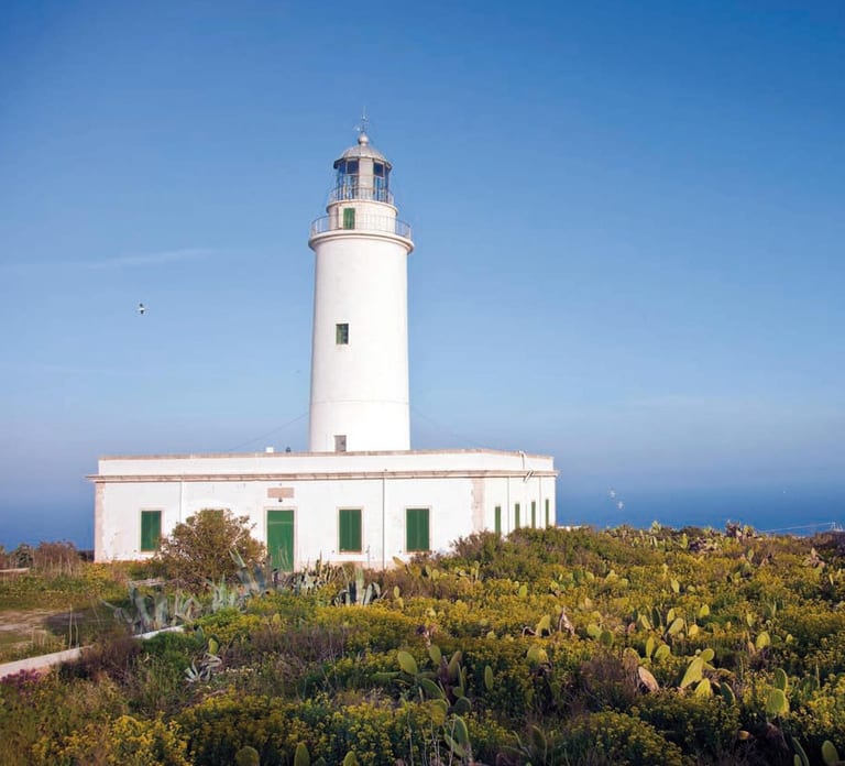 Formentera: Discover our Fast Ferry + e-Bike Package experience image 3