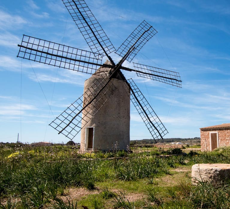 Formentera: Discover our Fast Ferry + e-Bike Package