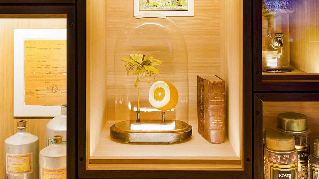 Fragonard Perfume Museum display with citrus and flower under glass dome.