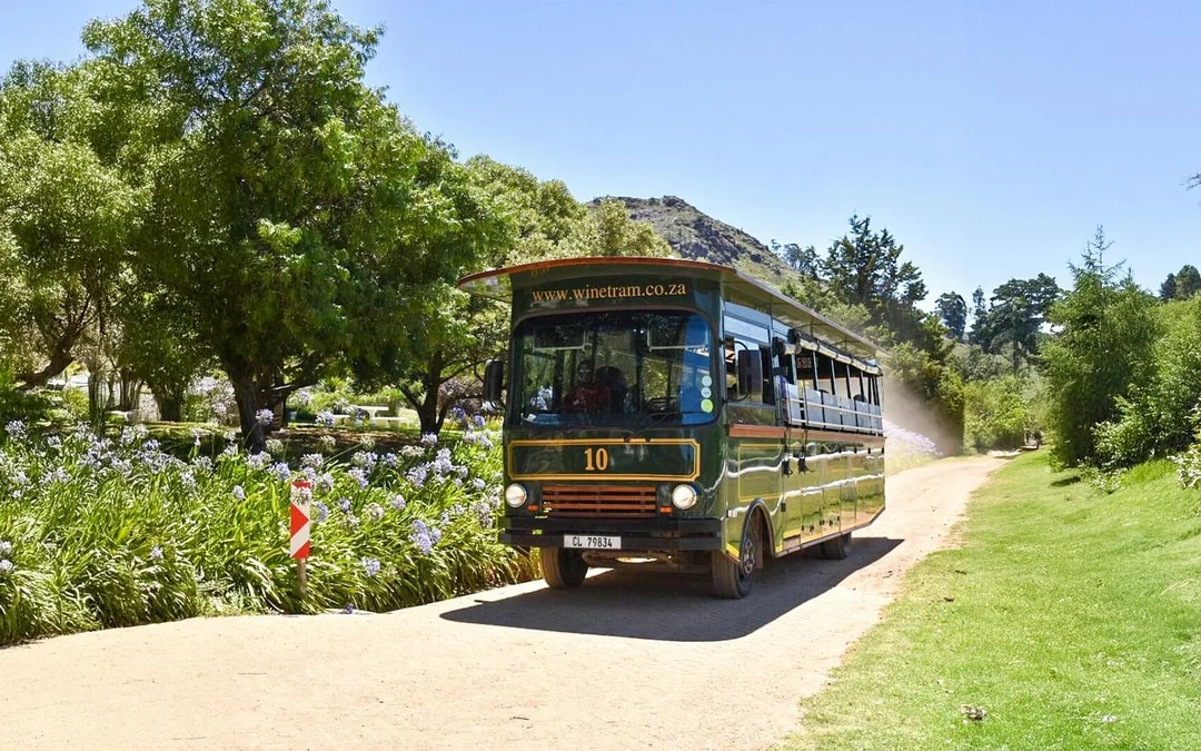 Franschhoek Hop-On-Hop-Off Wine Tram Tour  Image 6