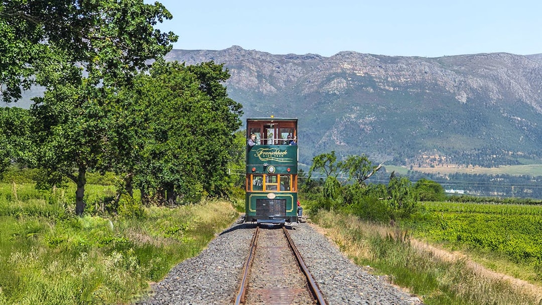 Tram traveling through vineyards on the Franschhoek Wine Tram Xplorer Tour, Cape Town.