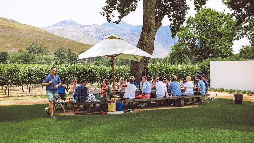Group enjoying wine tasting under umbrella on Franschhoek Wine Tram Xplorer Tour, Cape Town.